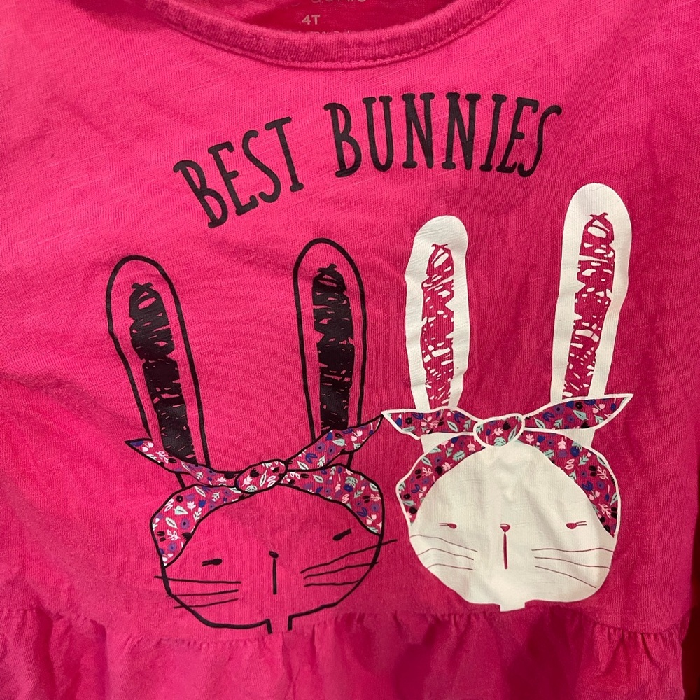 Twin girls “Best Bunnies” shirts